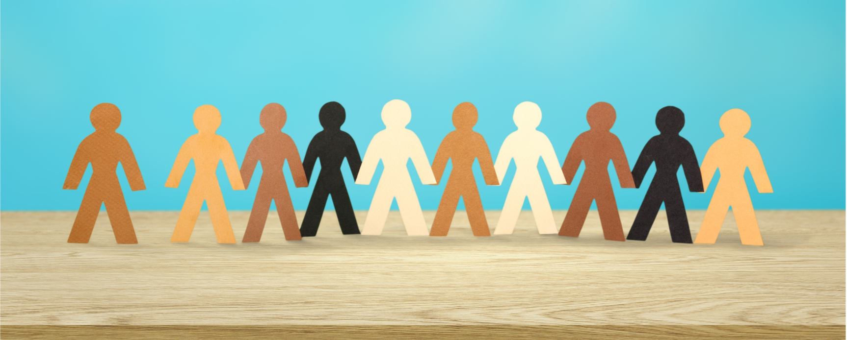 EVOSULT_Blog_Project roles